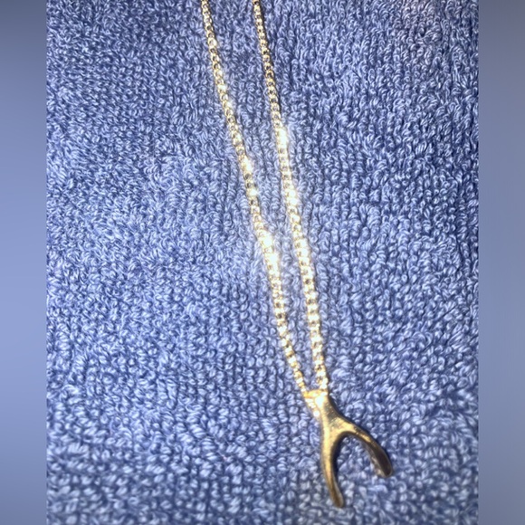 Wishbone necklace - Picture 2 of 8